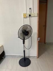 Blk 149 Yishun Street 11 (Yishun), HDB 5 Rooms #535561761